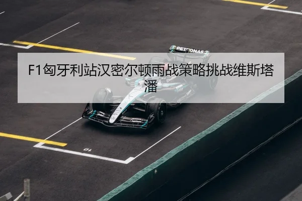 xiong-ya-li-zhan-han-mi-er-dun-yu-zhan-ce-lve-tiao-zhan-wei-si-ta-pan-3-546.jpg