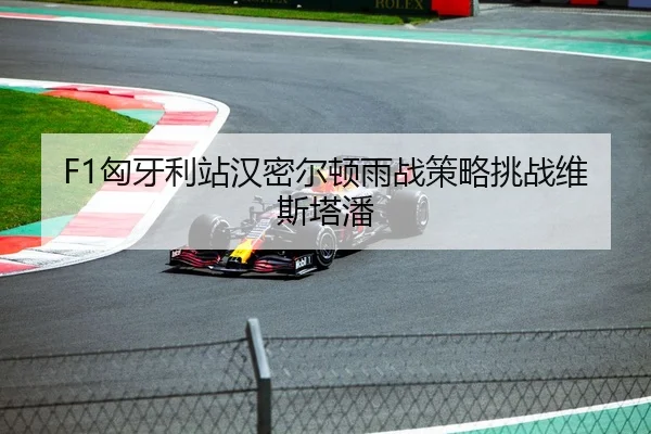 F1匈牙利站汉密尔顿雨战策略挑战维斯塔潘