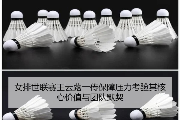 女排世联赛王云蕗一传保障压力考验其核心价值与团队默契
