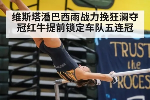 维斯塔潘巴西雨战力挽狂澜夺冠红牛提前锁定车队五连冠